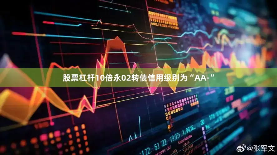 股票杠杆10倍永02转债信用级别为“AA-”