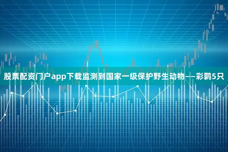 股票配资门户app下载监测到国家一级保护野生动物——彩鹮5只
