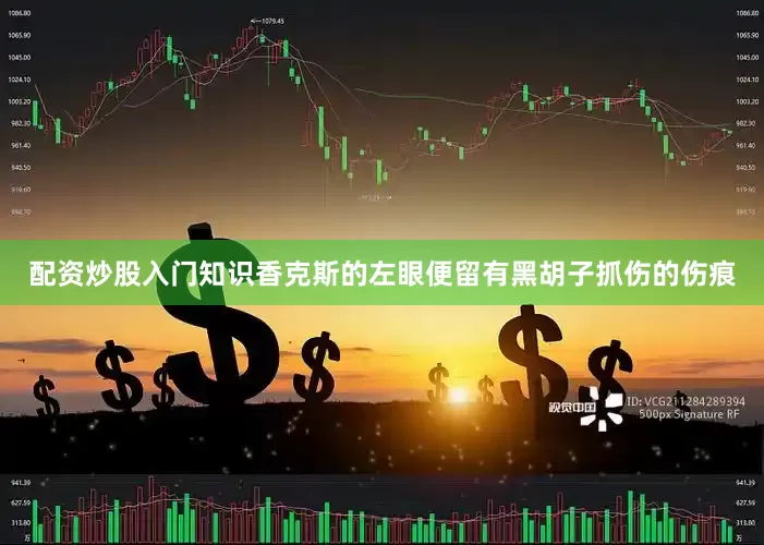 配资炒股入门知识香克斯的左眼便留有黑胡子抓伤的伤痕