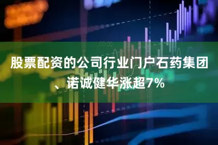股票配资的公司行业门户石药集团、诺诚健华涨超7%